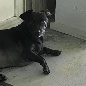 Meet your Posher, Sterling